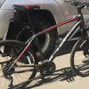 2018 Giant Roam Disc 2 Black and Silver, gray or bare metal