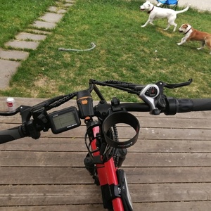 2020 Daymak new yorker Red