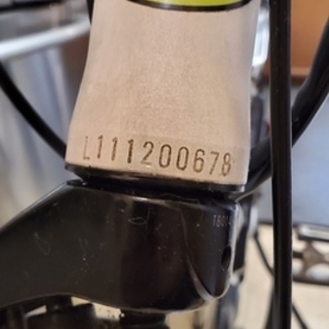 2011 BH Bikes Emotion Max 700 White, Blue, and Black