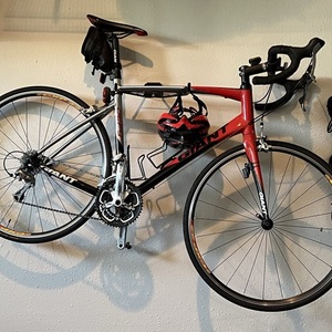 2010 Giant Defy 1 Red, Silver, gray or bare metal, and Black