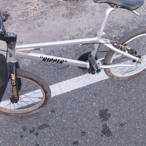 2012 SE Bikes 20" ripper