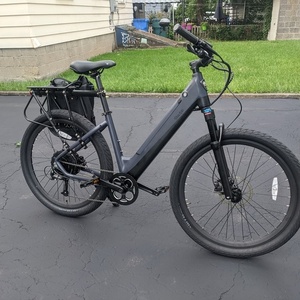 2022 Ride1Up LMT'D Silver, gray or bare metal