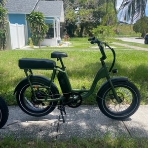 2022 Rad Power Bikes RadRunner 2 Green