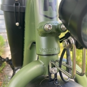 2022 Rad Power Bikes RadRunner 2 Green