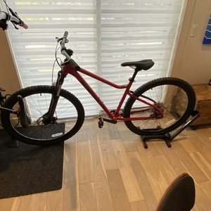 2022 Devinci Riff Altus 8S Red