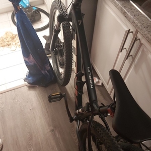 2020 Trek Marlin 7 Blue and Silver, gray or bare metal