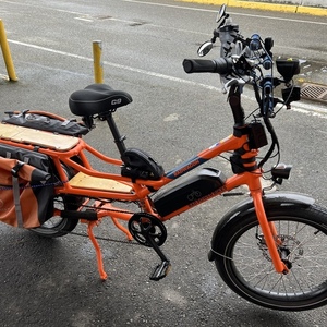 2021 Rad Power Bikes Radwagon 4 Orange