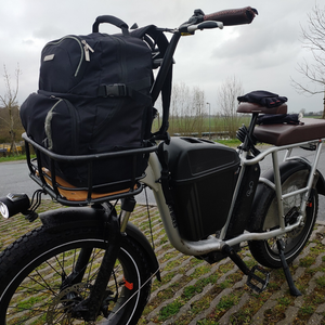 2020 Rad Power Bikes Radrunner Plus Silver, gray or bare metal