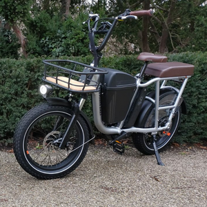 2020 Rad Power Bikes Radrunner Plus Silver, gray or bare metal