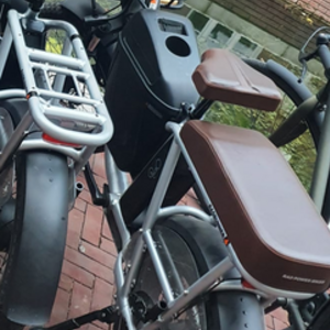 2020 Rad Power Bikes Radrunner Plus Silver, gray or bare metal