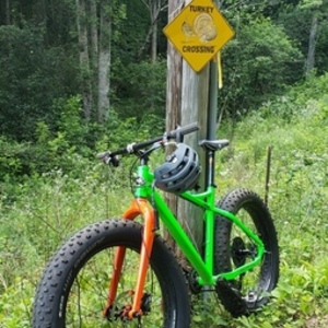 2015 RSD Mayor Green