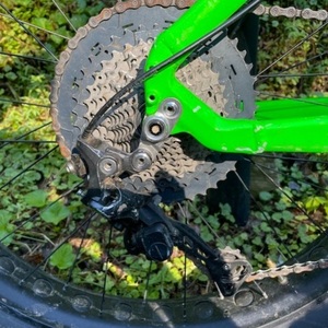 2015 RSD Mayor Green