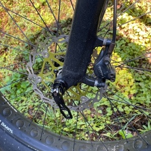 2015 RSD Mayor Green