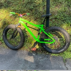 2015 RSD Mayor Green