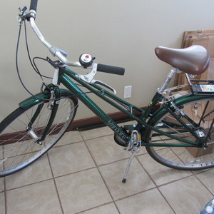 Sturmey-Archer Charge Mandoline Green
