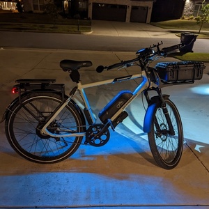 2020 Rad Power Bikes RADMISSION Silver, gray or bare metal