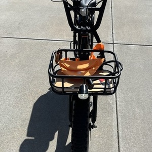 2022 Rad Power Bikes Runner 2 Black
