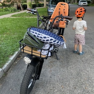 2022 Rad Power Bikes RadRunner Plus Electric Utility Bike Silver, gray or bare metal