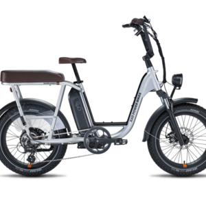 2022 Rad Power Bikes RadRunner Plus Electric Utility Bike Silver, gray or bare metal