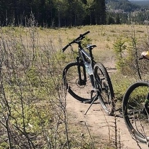 2021 Cube Acid 29in XLarge Aqua Silver, gray or bare metal