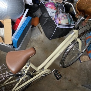 2022 Schwinn Step-Through White