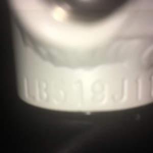 2019 Rad Power Bikes RadMini Step-Thru White