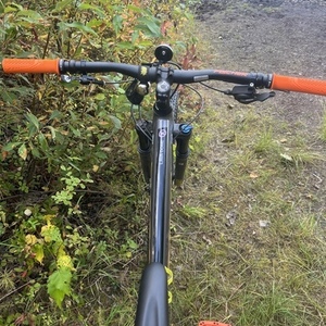 2022 Kona Lava Dome Silver, gray or bare metal