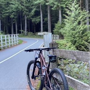 2021 SCOTT Genius Brown