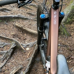 2021 SCOTT Genius Brown