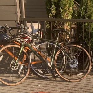 2019 Cannondale Synapse AL Disc SE 105 Green