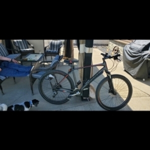 2022 Giant Roam2 Silver, gray or bare metal and Pink