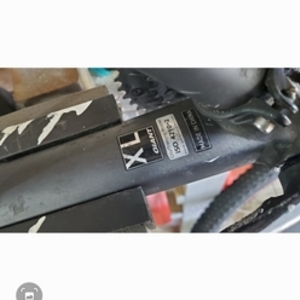 2022 Giant Roam2 Silver, gray or bare metal and Pink