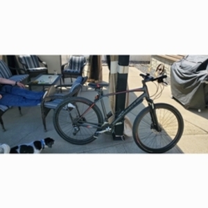 2022 Giant Roam2 Silver, gray or bare metal and Pink