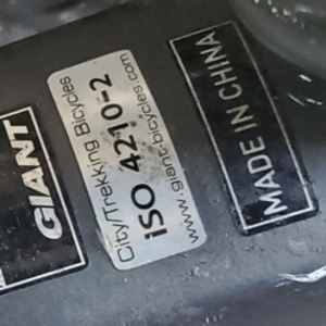 2022 Giant Roam2 Silver, gray or bare metal and Pink