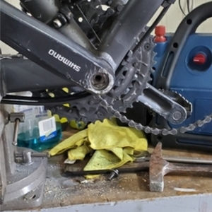 2022 Giant Roam2 Silver, gray or bare metal and Pink