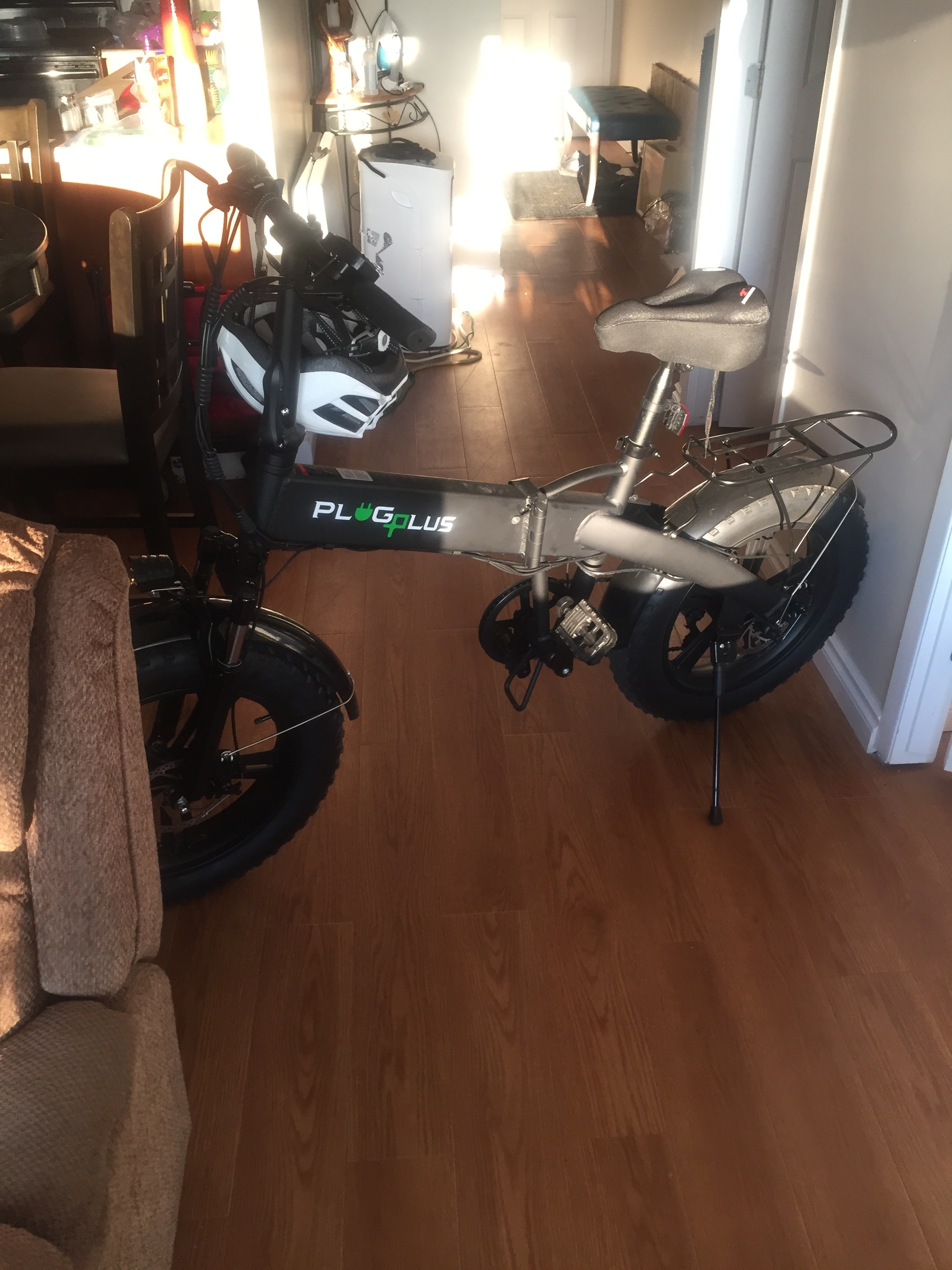 plug plus electric