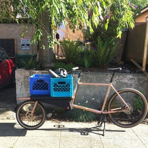 2020 Omnium Cargo Pink