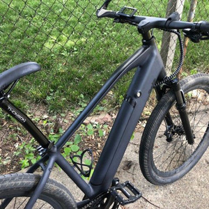 2021 Ride1Up LMT'D ST Silver, gray or bare metal