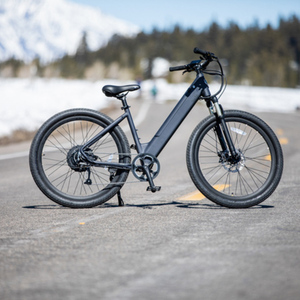 2021 Ride1Up LMT'D ST Silver, gray or bare metal