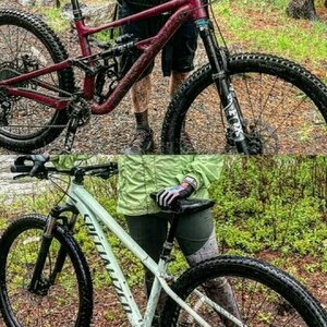 2022 Specialized Status and rockhopper Purple
