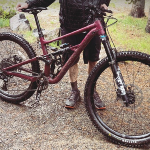 2022 Specialized Status and rockhopper Purple