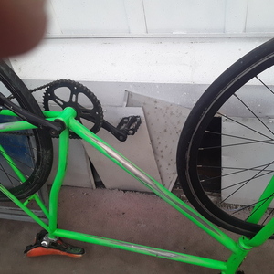Backward circle Fixie Green