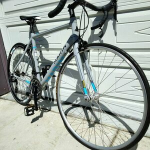 2015 Marin Bikes Argenta Elite Silver, gray or bare metal