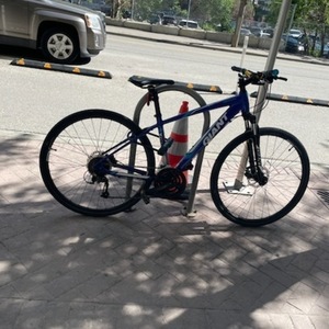 2015 Giant Roam 2 Blue and White