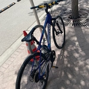 2015 Giant Roam 2 Blue and White