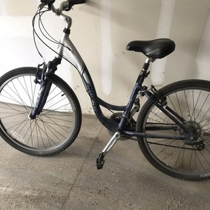 Trek Navigator 100 Blue and Silver, gray or bare metal