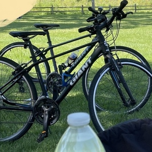 Giant Black and Blue