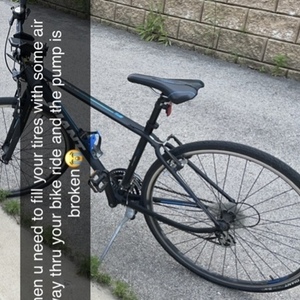 Giant Black and Blue