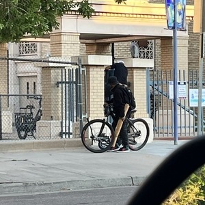 2022 Rad Power Bikes Rad Wagon cargo bike (rear storage) Black