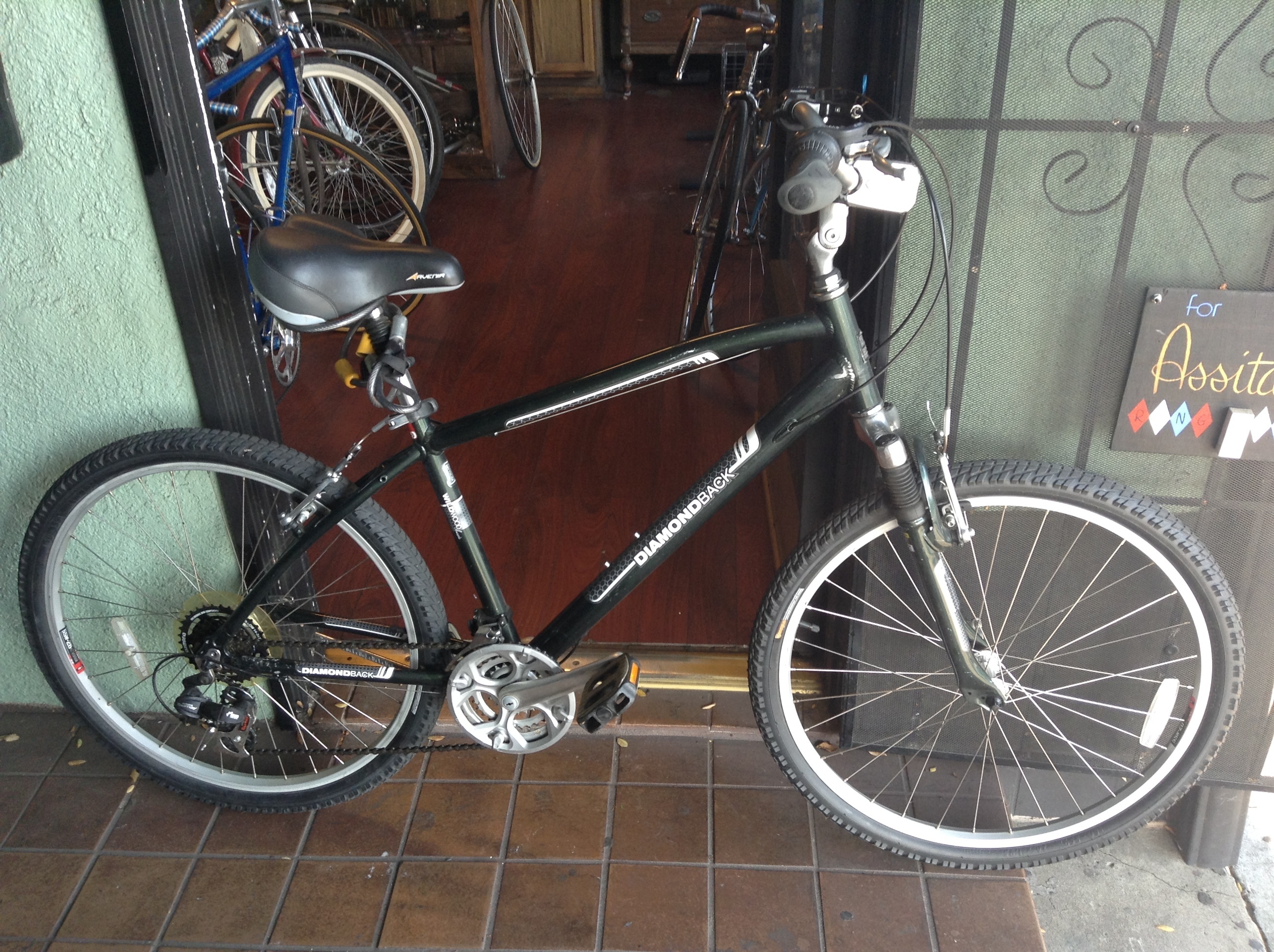 2010 Diamondback Wildwood